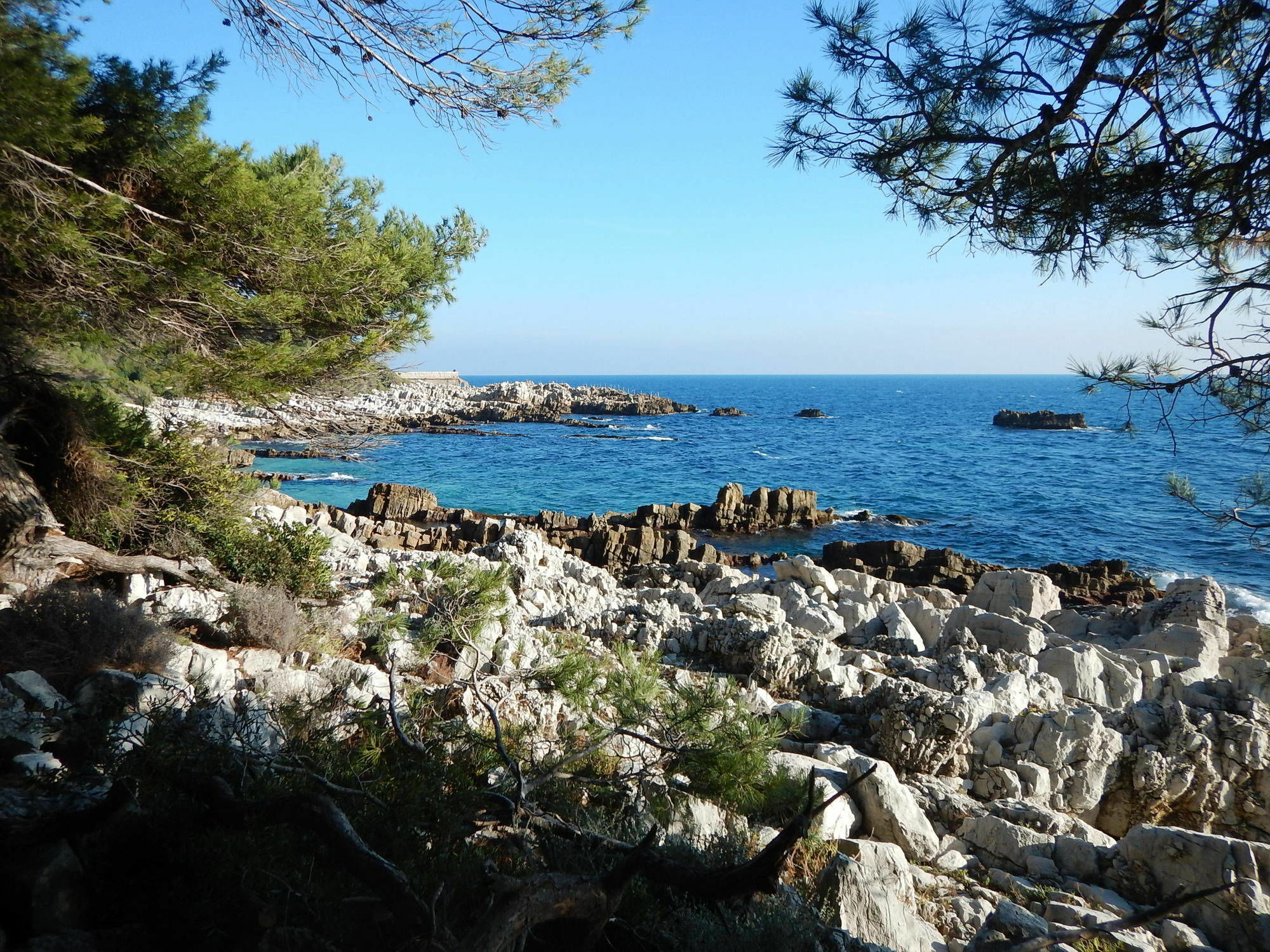 Hotel Miramar- Cap D'Antibes - La Garoupe Plage מראה חיצוני תמונה